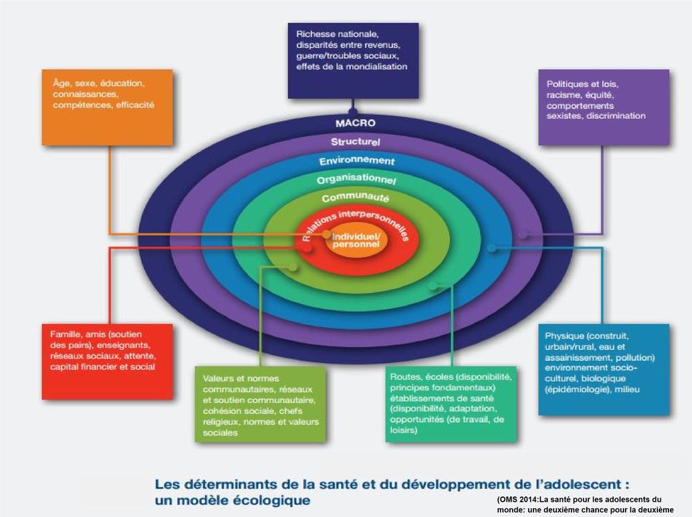 Une représentation schématique des déterminants de la santé et du développement des adolescents selon une approche écologique.