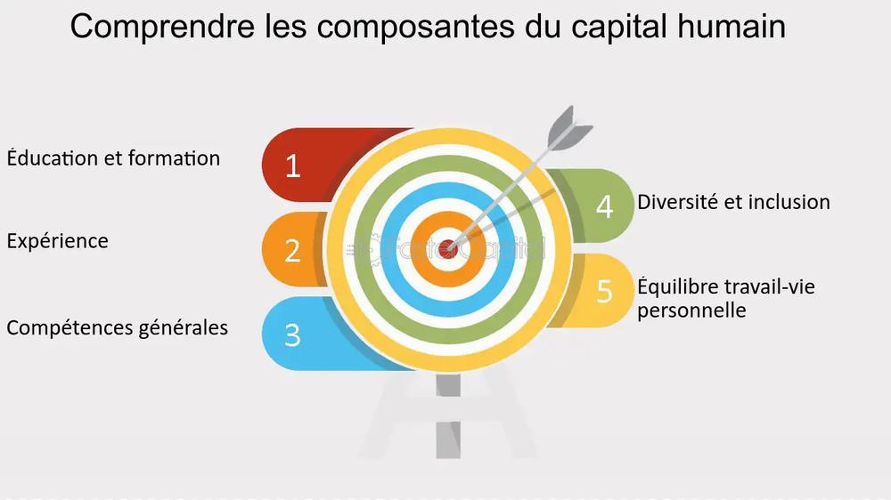 Une illustration des cinq composantes du capital humain : léducation et la formation, lexpérience, les compétences générales, la diversité et linclusion, et léquilibre travail-vie personnelle.