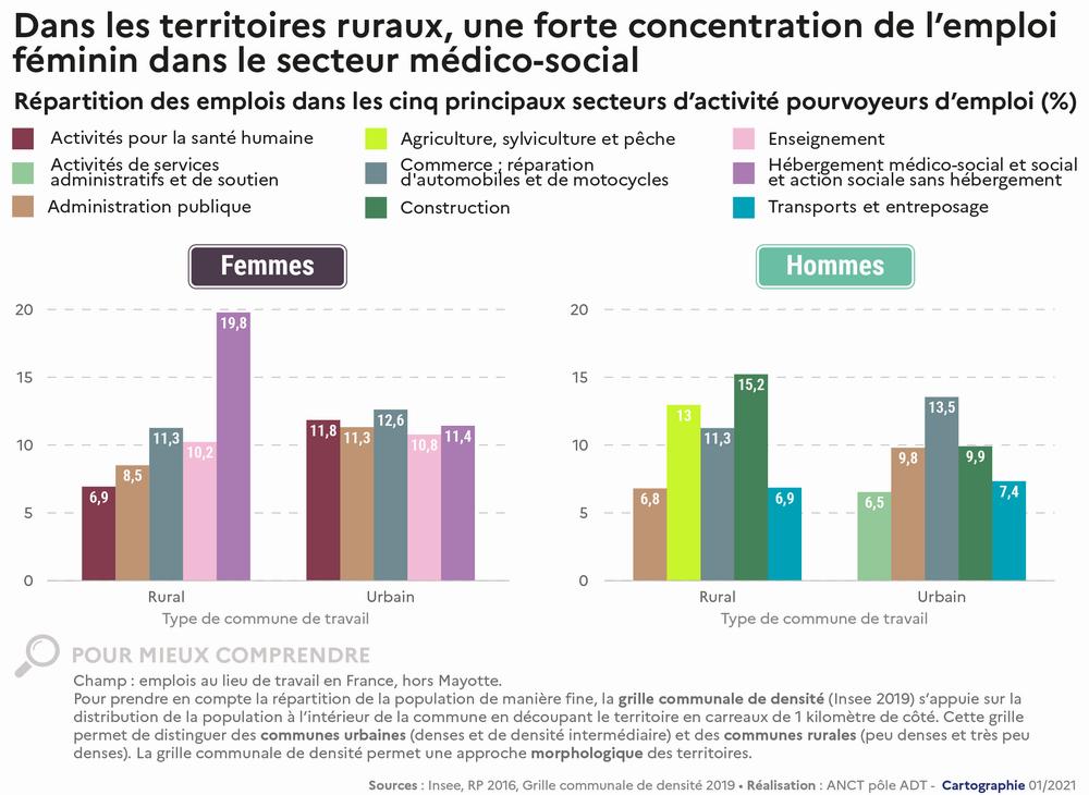 Répartition des emplois dans les cinq principaux secteurs dactivité pourvoyeurs demploi en France métropolitaine.